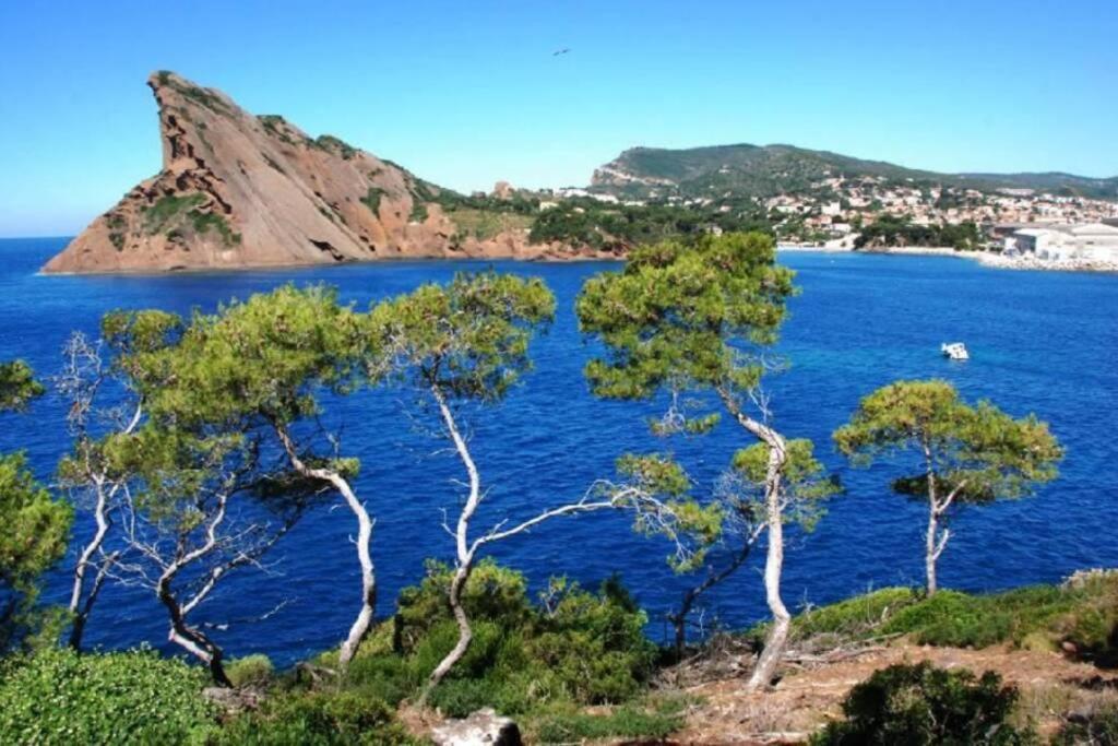 L'Oree De La Plage: Appt. Tout Confort 4/6 Pers. 400 M De La Plage Ла-Сьйота Екстер'єр фото